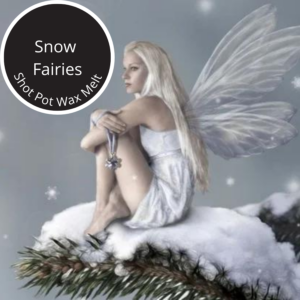 Snow Fairies Shot Pot Wax Melt
