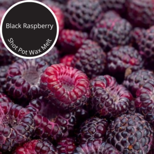 Black Raspberry Shot Pot Wax Melt