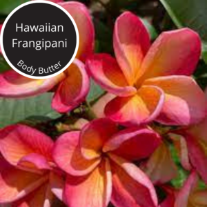 Hawaiian Frangipani Body Butter