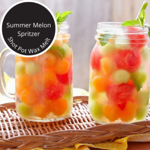 Summer Melon Spritzer Shot Pot Wax Melt